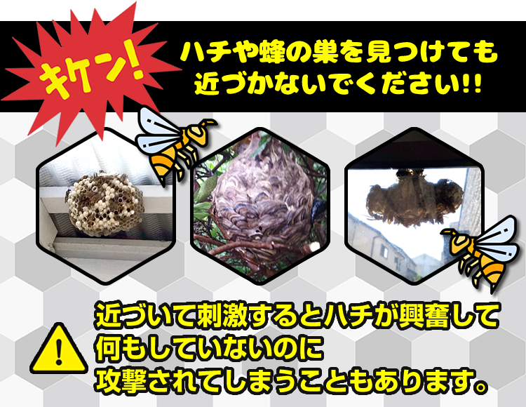 キケン！ハチや蜂の巣を見つけても近づかないでください！