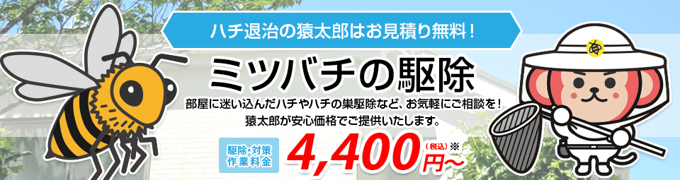 ミツバチの駆除・退治は猿太郎まで