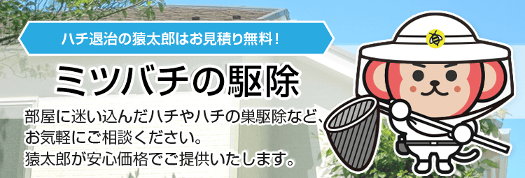 ミツバチの駆除・退治は猿太郎まで
