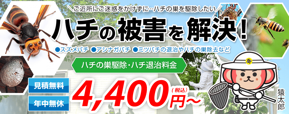 ハチ駆除・ハチの巣駆除