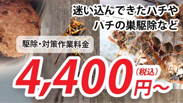 ハチ駆除・ハチの巣駆除の料金