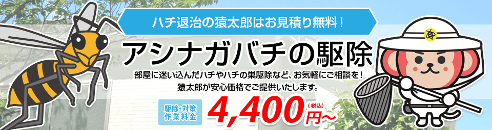 アシナガバチ駆除の猿太郎