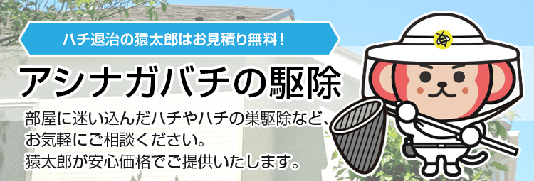 アシナガバチ駆除の猿太郎