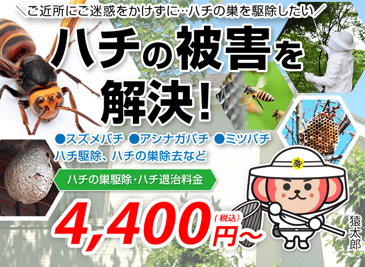 ハチ駆除・ハチの巣駆除