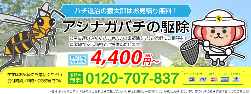 アシナガバチの駆除・退治は猿太郎まで