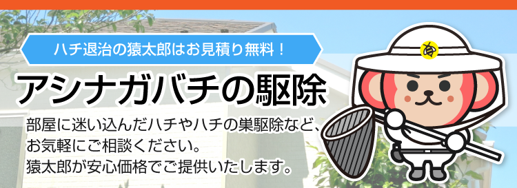 アシナガバチの駆除・退治は猿太郎まで