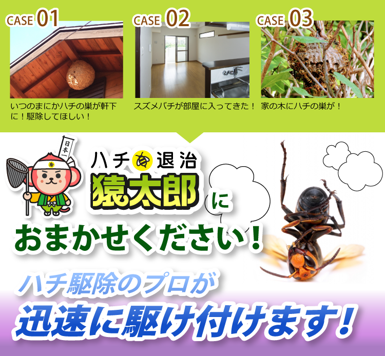 様々なハチのお悩みを解決