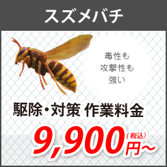 スズメバチ駆除