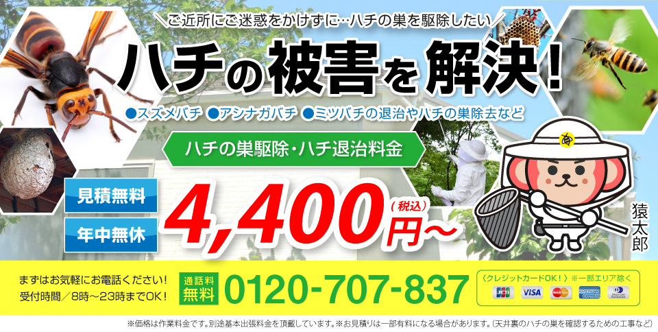ハチ駆除・ハチの巣駆除
