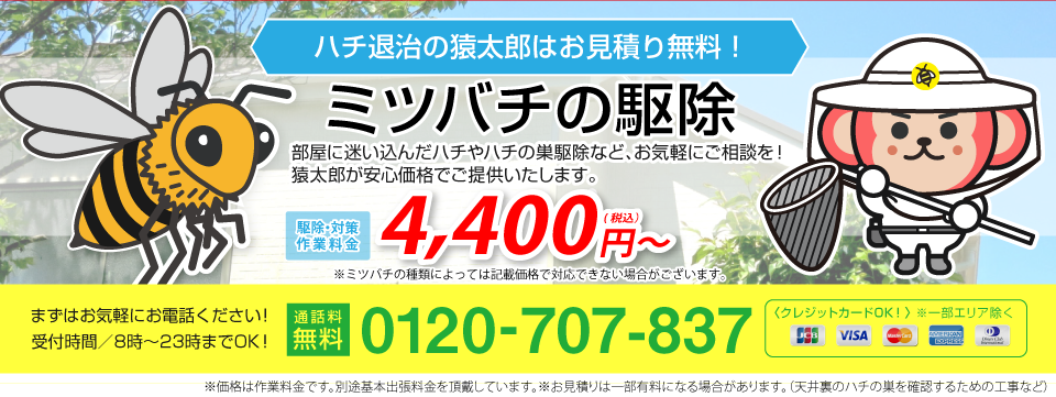ミツバチの駆除・退治は猿太郎まで