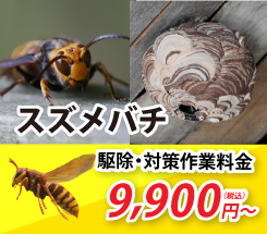 スズメバチ駆除・対策の作業料金