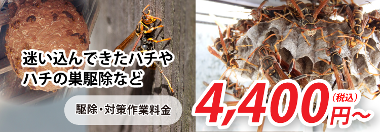 ハチ退治・ハチの巣駆除のサービス料金