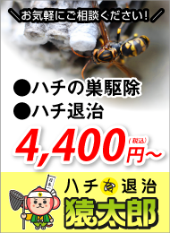 ハチ駆除・ハチの巣駆除4000円から