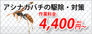 アシナガバチ駆除の駆除・対策