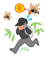 ミツバチの攻撃性